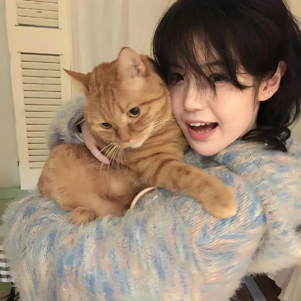 白域猎人