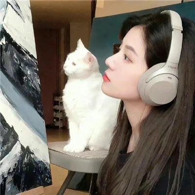 天使行动